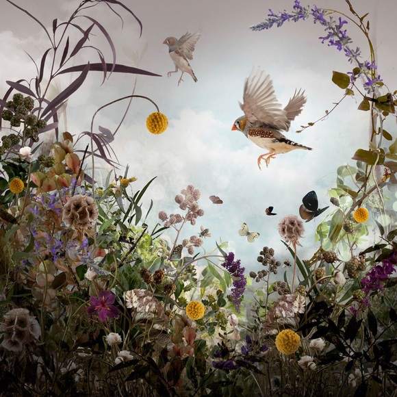 Meet your Posher, Kitka - Picture 7 of 9